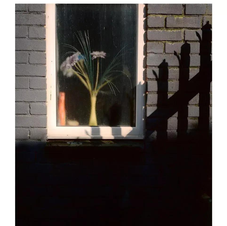 Fall at a glance! This film photo, the texture is amazing!