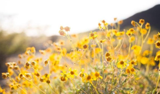 5 Common Mistakes When Taking Landscape Photography