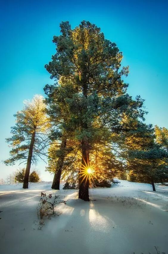 Ice and snow photography, how to capture a charming artistic conception?