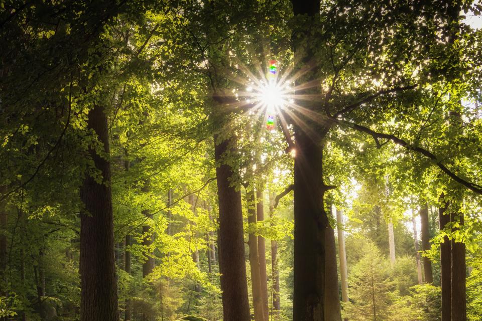 A beginner in photography? Just one trick will make your photos go viral on your friends' feeds - Jin Hua Talks Photography Episode 7