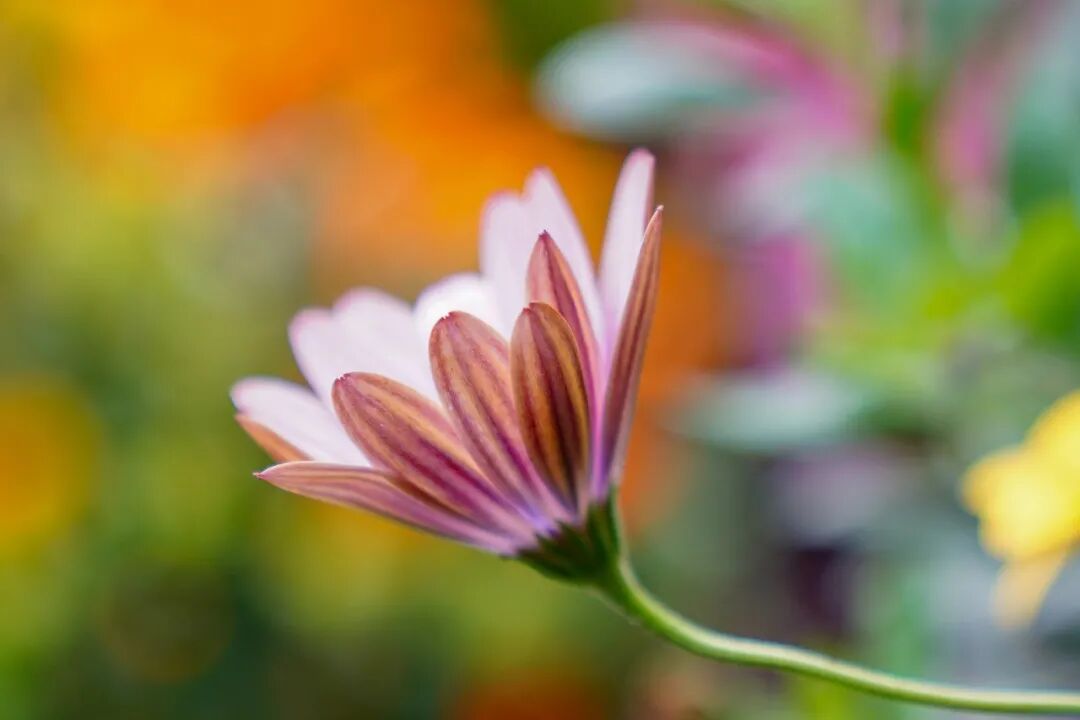 The threshold of photography is not equipment and skills, but your mentality and personality!