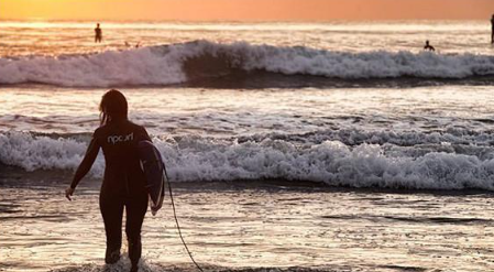 Don't envy those clear and sharp photos online anymore. This focusing mode is fast and accurate!