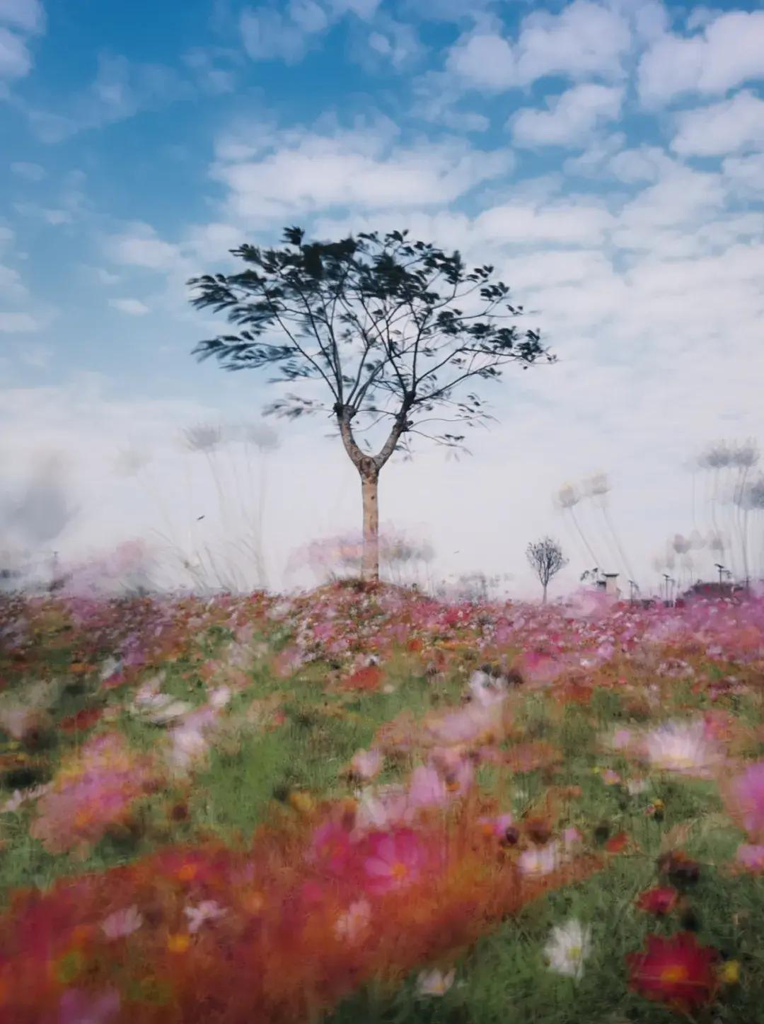 He only photographed a piece of sea, but he can photograph so beautifully!