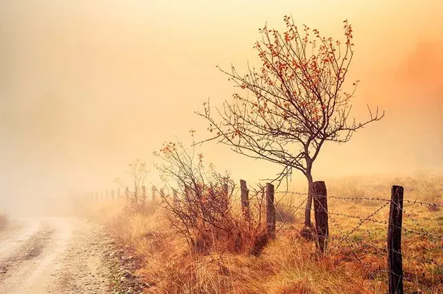 5 Simple Tips to Quickly Improve Your Landscape Photography Composition Skills