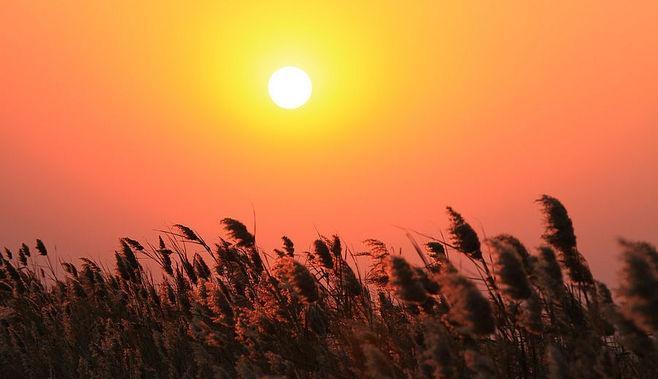 Metering tips, detailed explanation of camera metering mode and correct metering skills