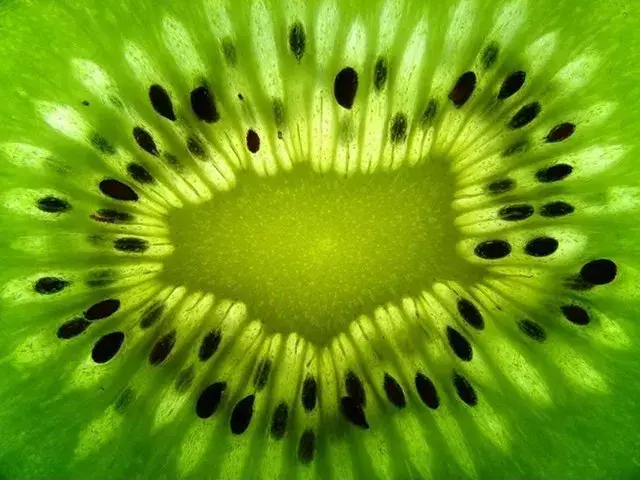 In the scorching summer, take a creative abstract photo of fruits and vegetables at home!