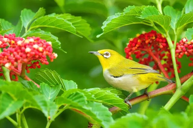 10 types of shooting tips you must know