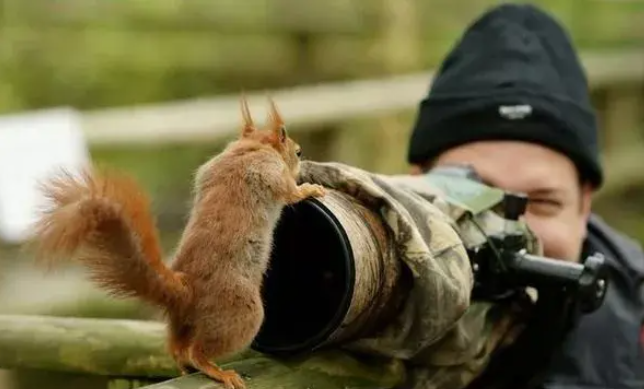 How exactly is it considered the correct way to operate a single-lens reflex camera?